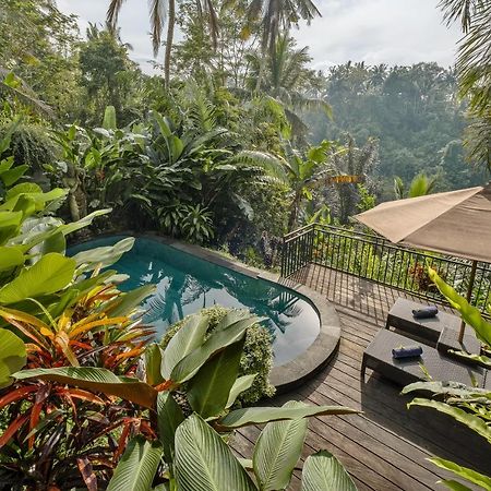 Mandana Ubud Villa Kültér fotó