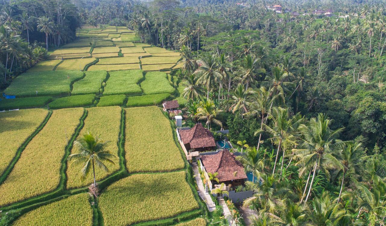 Mandana Ubud Villa Kültér fotó
